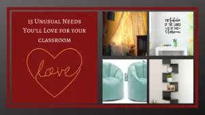 Read more about the article 15 Unusual Needs You’ll Love for Your Classroom