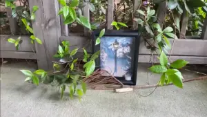 Read more about the article Unique Classroom Ideas:  Virtual Treasure Hunt