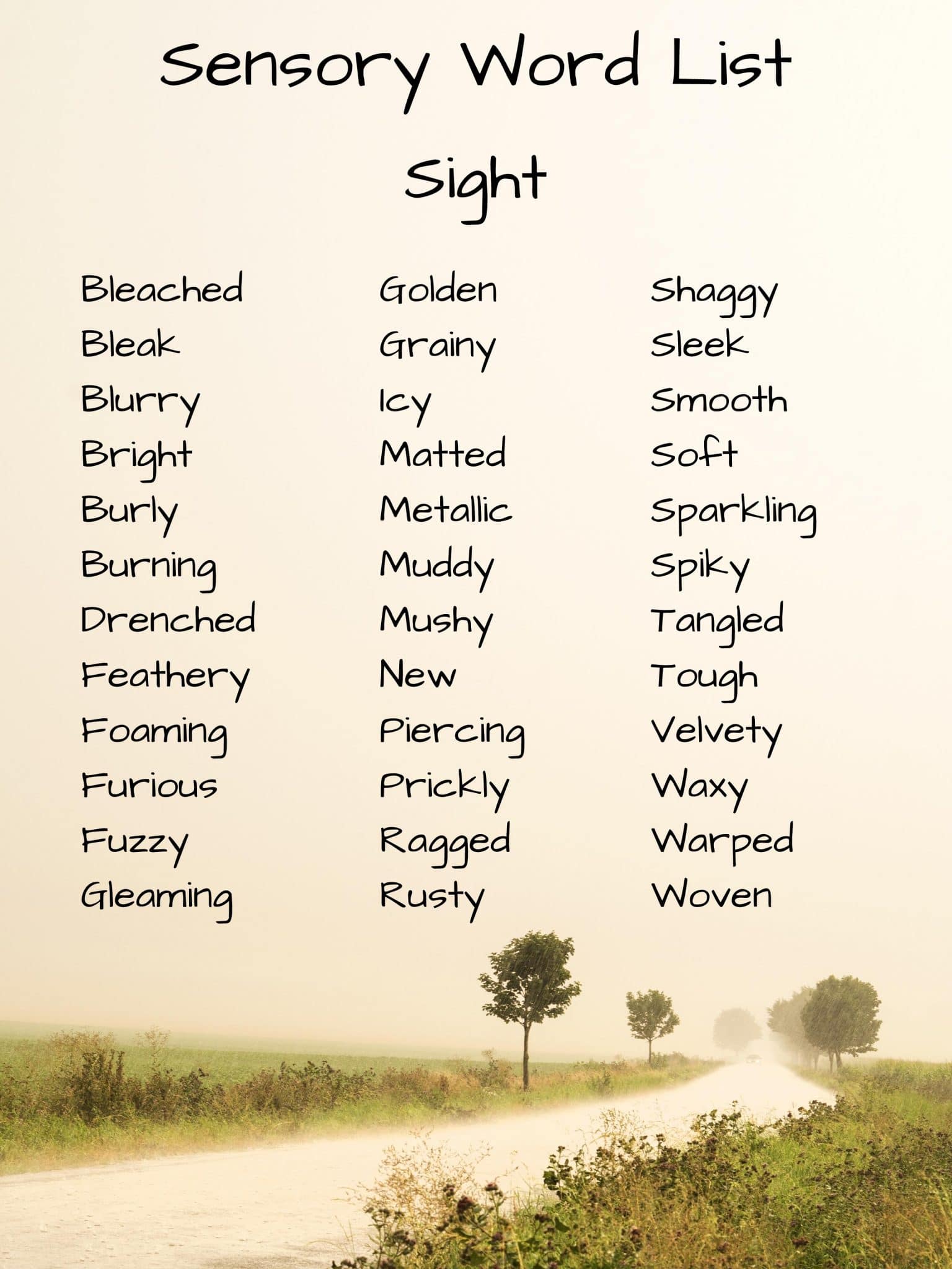 Sight Sensory Detail Words